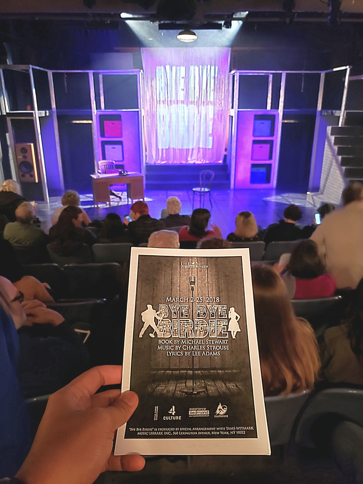 Bye Bye Birdie Musical SecondStory Repertory Shows I've Seen