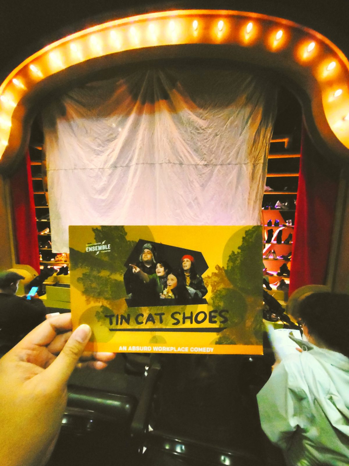 Tin Cat Shoes Play Washington Ensemble Theatre Shows I've Seen