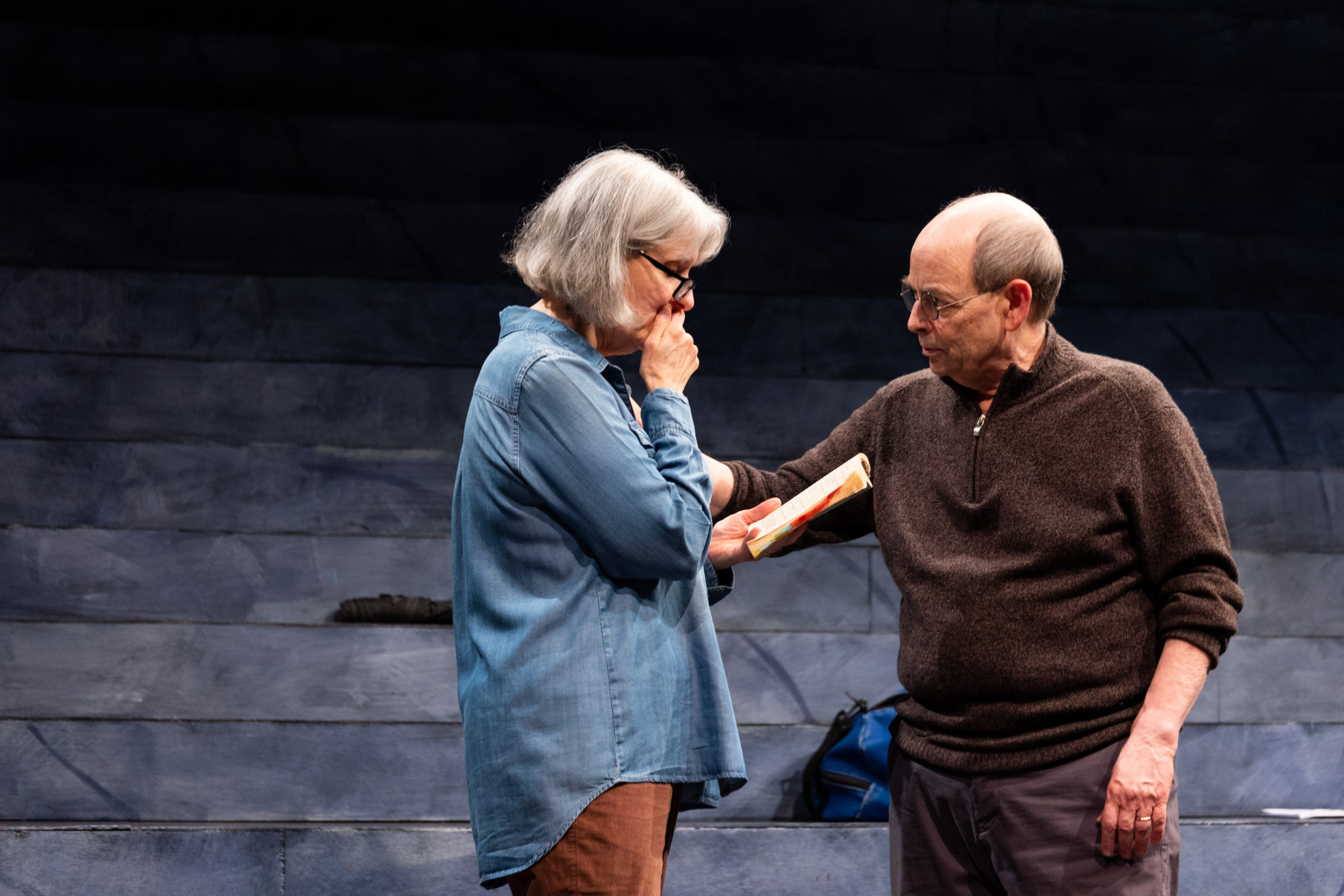 The Standby Lear – Play – Thalia’s Umbrella – Shows I've Seen | Theatre ...