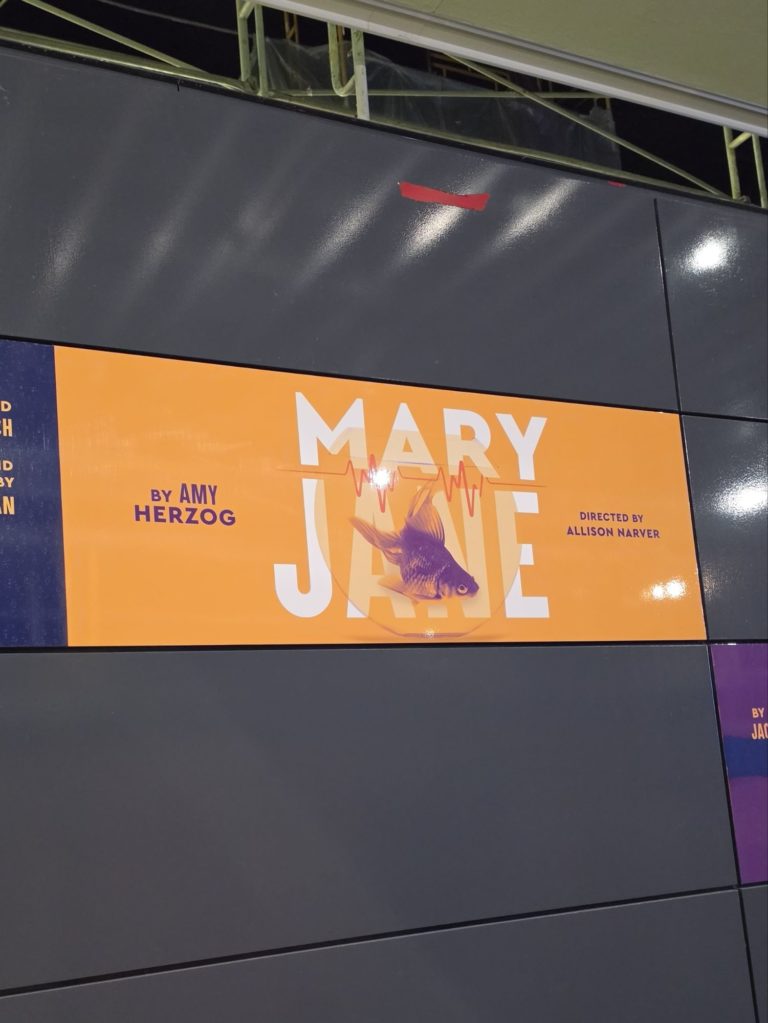 Mary Jane – Play – Review – Seattle Rep